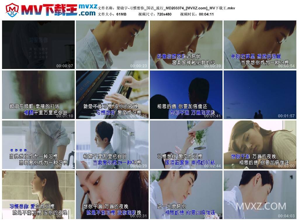 梁晓宇-习惯想你_国语_流行_MD203374